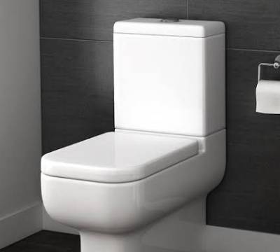 Toilet installation Harrisdale